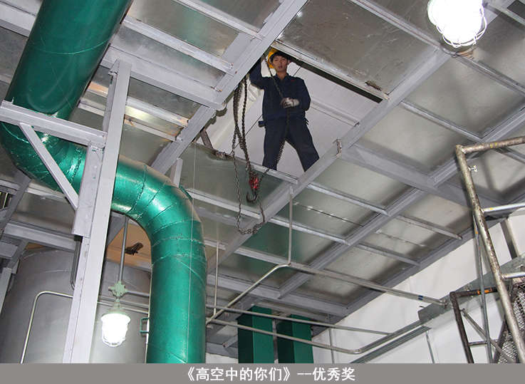 20150520104912461246 bevictor伟德-bv伟德国际体育官方网站