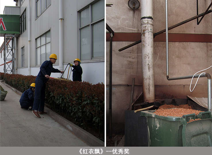 20150520104919571957 bevictor伟德-bv伟德国际体育官方网站