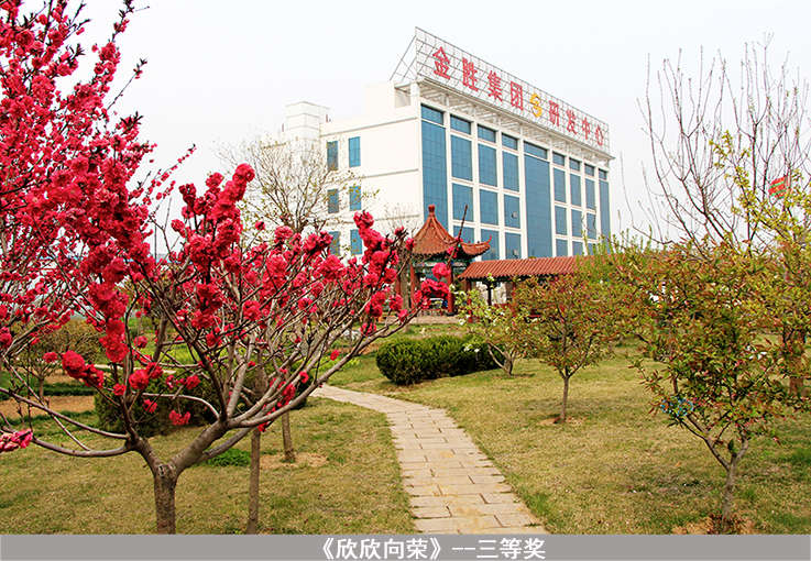 20150520105234593459 bevictor伟德-bv伟德国际体育官方网站