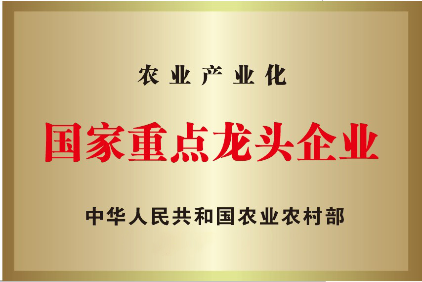 bevictor伟德-bv伟德国际体育官方网站