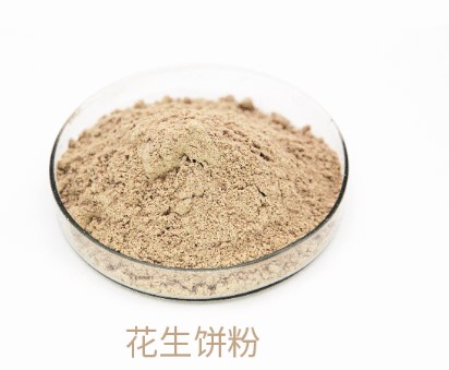 bevictor伟德-bv伟德国际体育官方网站