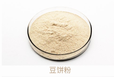 bevictor伟德-bv伟德国际体育官方网站