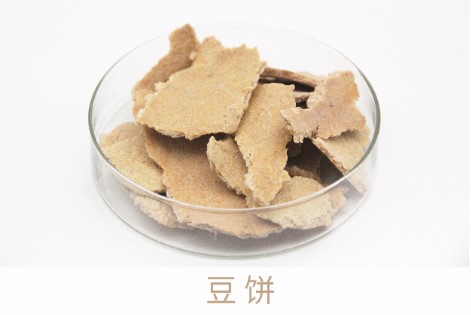 bevictor伟德-bv伟德国际体育官方网站